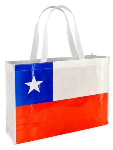 Bolsa Eco Flag Congress