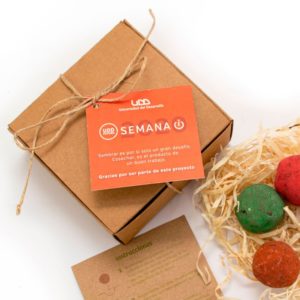 Kit 143 Bombas de semillas caja cartulina