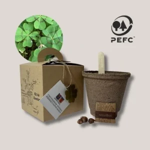 Kit 119 Trebol 4 Hojas