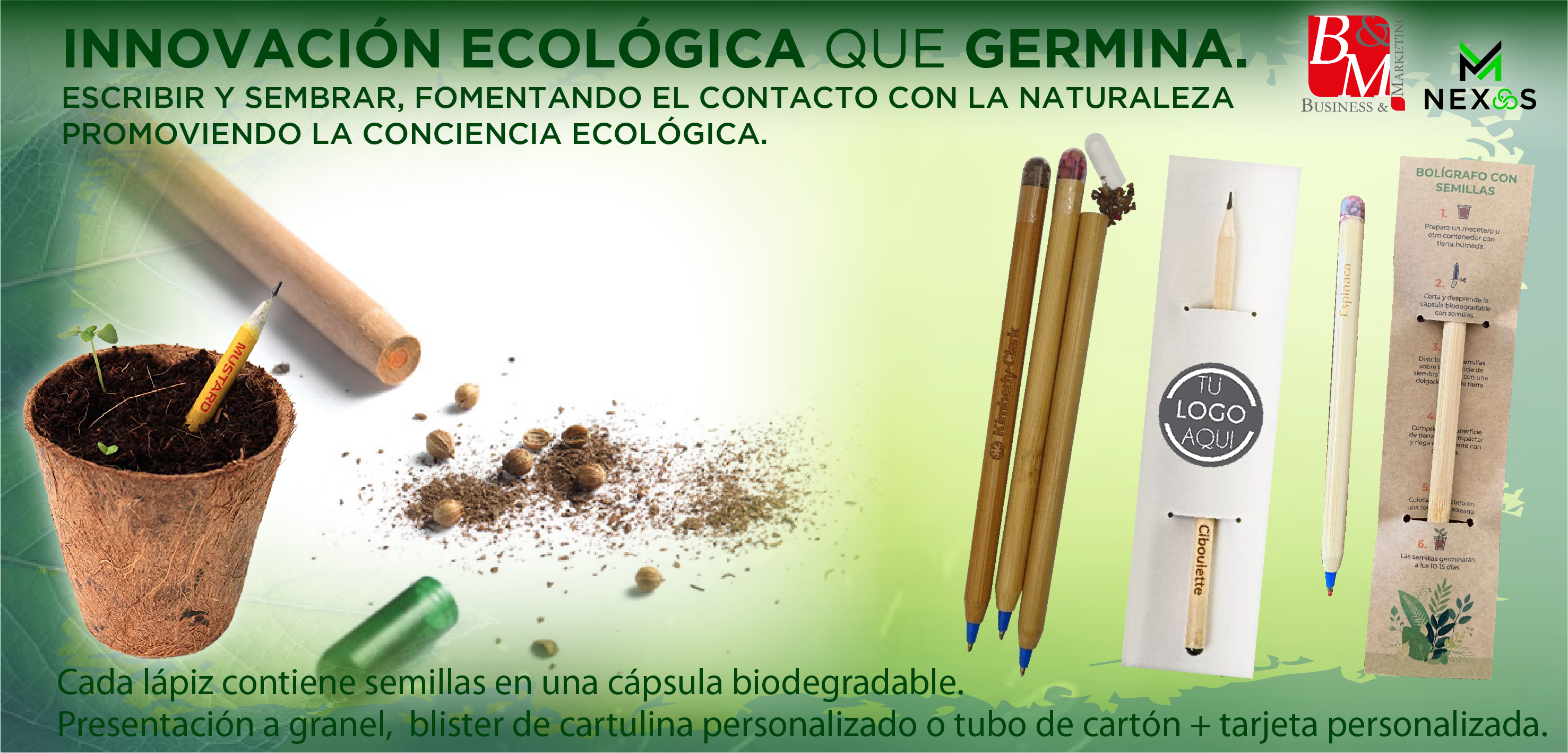 Lápices con semilla