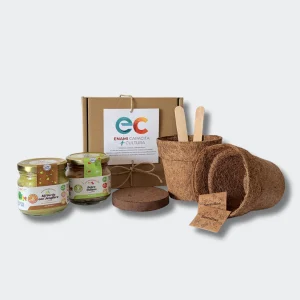 Kit de Siembra Sabores Chilenos
